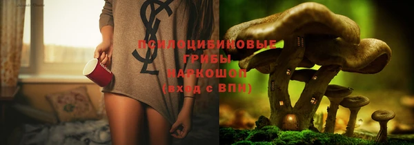 трава Абаза