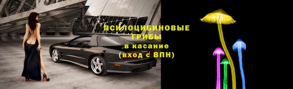 трава Абаза