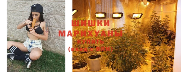 PSILOCYBIN Абдулино