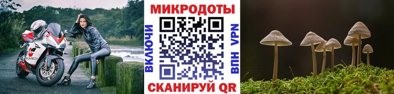 Галлюциногенные грибы Cubensis  гидра сайт  Вилючинск 